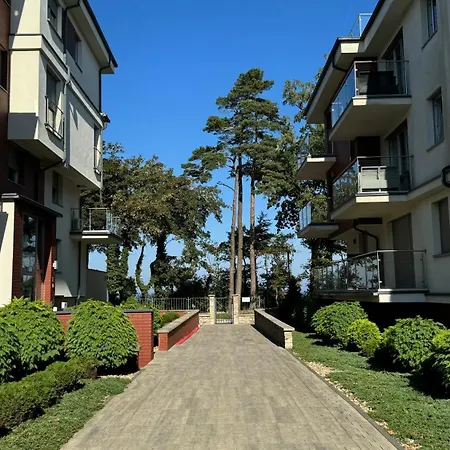 Scandi, Basen & アパート